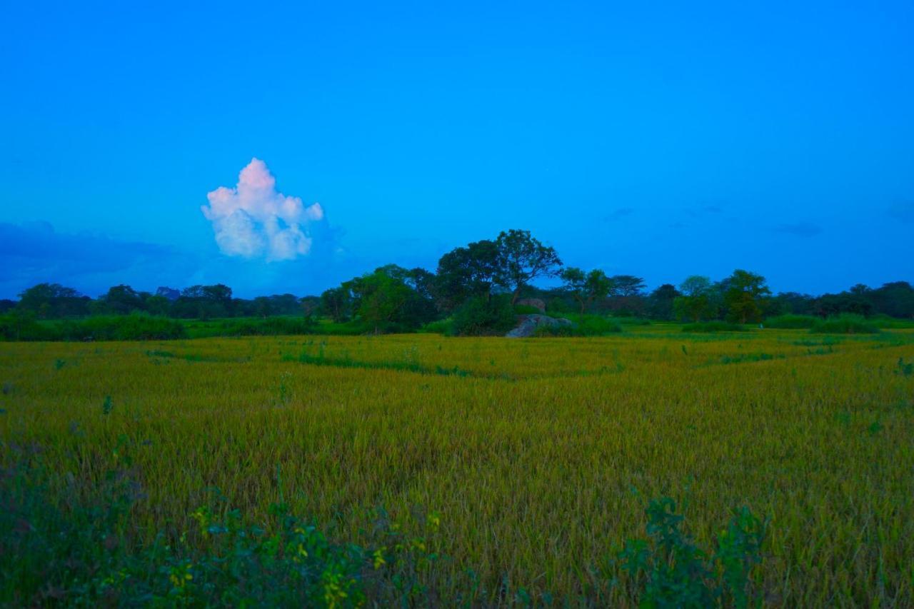 Hidden Lake Cottages สิกิริยา ภายนอก รูปภาพ